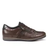 Cheap Fluchos DANIEL F1280 Zapato Con Cordones Marrón