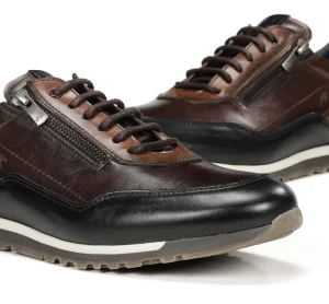 Store Fluchos SANDER F1215 Deportivo Marrón