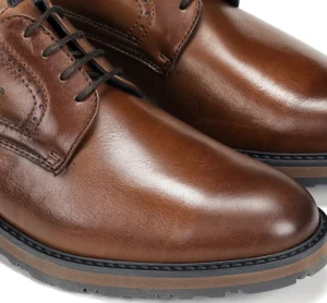 Discount Fluchos ULRICH F1867 Zapato Marrón